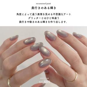 [ネコポス送料無料]超微粒子4ミクロン マグネ...の詳細画像2