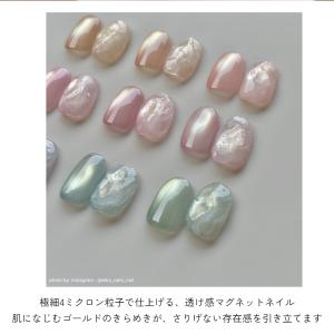 ジェルネイル イロジェル マグネットネイル カ...の詳細画像2