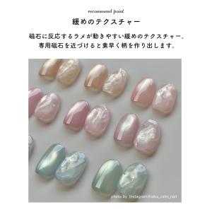 [ネコポス送料無料]超微粒子4ミクロン マグネ...の詳細画像3