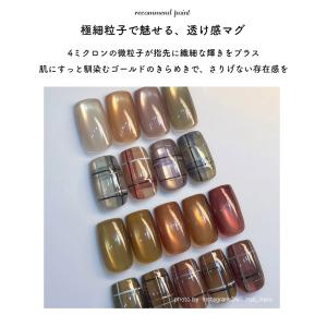 [ネコポス送料無料]超微粒子4ミクロン マグネ...の詳細画像4