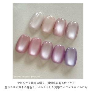 ジェルネイル イロジェル マグネットネイル ネ...の詳細画像2