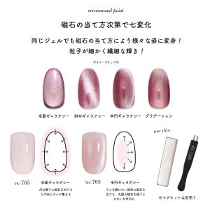 [ネコポス送料無料]極微粒子3ミクロン マグネ...の詳細画像4