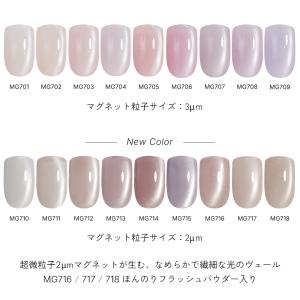 ジェルネイル イロジェル マグネットネイル ネ...の詳細画像4