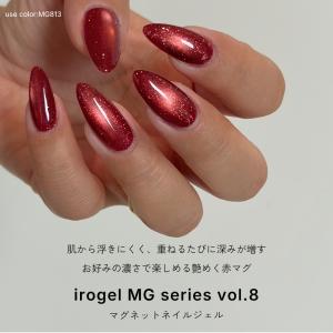 ジェルネイル イロジェル マグネットネイル ネ...の詳細画像1