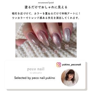 [ネコポス送料無料][アウトレット品・生産終了...の詳細画像4