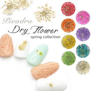 ジェルネイル ドライフラワー SHAREYDVA...の商品画像