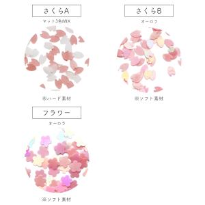 ジェルネイル ネイルタウン ネイルアート パス...の詳細画像3