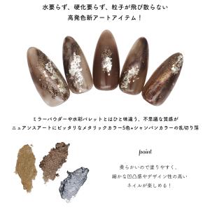 ジェルネイル ネイルタウン ネイルパウダー マ...の詳細画像3
