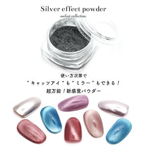 ジェルネイル ネイルタウン ネイルパウダー シ...の詳細画像1