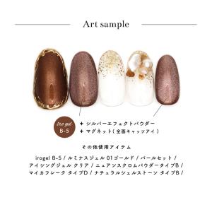 ジェルネイル ネイルタウン ネイルパウダー シ...の詳細画像5