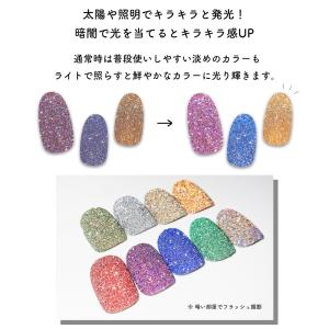 ジェルネイル ネイルタウン ネイルパウダー フ...の詳細画像2