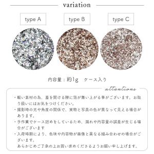 ジェルネイル ネイルタウン ネイルパウダー ダ...の詳細画像4