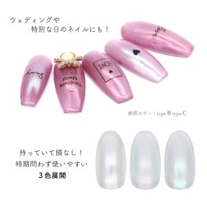 ジェルネイル ネイルタウン ネイルパウダー ホ...の詳細画像2