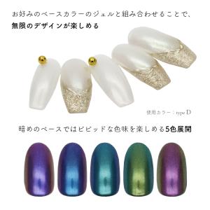 ジェルネイル ネイルタウン ネイルパウダー シ...の詳細画像2