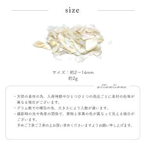 ジェルネイル ネイルタウン ネイルパーツ スィ...の詳細画像5
