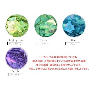 ジェルネイル ネイルタウン シェルフレーク 貝...の詳細画像2