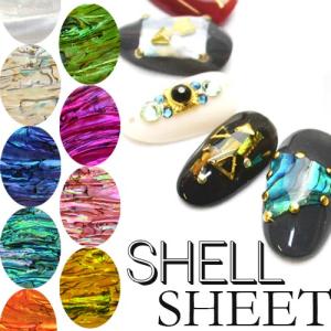 滝川（TAKIGAWA） アクセンツ プレップ＆ワイプ 480ml 大容量 AKZENTZ