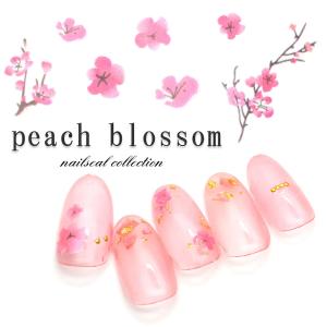 ジェルネイル ネイルタウン ピーチブロッサムシール ネイルシール 桃の花 [F129]
