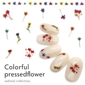 [ネコポス] ネイルシール カラフル押し花シール [MG-190806-09]