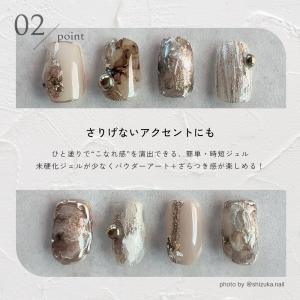 ジェルネイル ネイルタウン カラージェル テラ...の詳細画像3