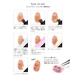 [ネコポス送料無料][アウトレット品・生産終了...の詳細画像2