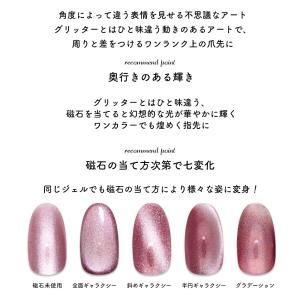 [ネコポス送料無料]マグネットネイル ネイルタ...の詳細画像2