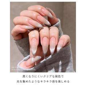 輝くマグネット粒子 ジェルネイル マグネットネ...の詳細画像2
