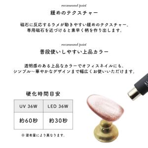 [ネコポス送料無料]マグネットネイル ネイルタ...の詳細画像3