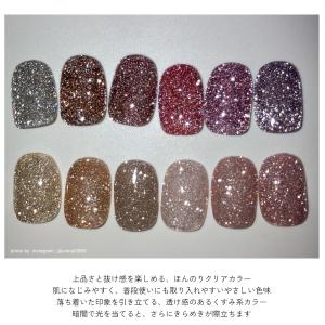 ジェルネイル フラッシュネイル ラメ グリッタ...の詳細画像3
