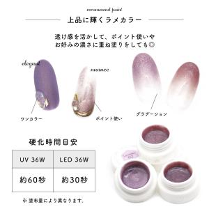 ジェルネイル カラージェル ラメ グリッター ...の詳細画像3