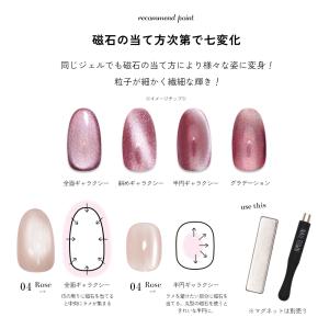 [ネコポス送料無料]超微粒 マグネットネイル ...の詳細画像4