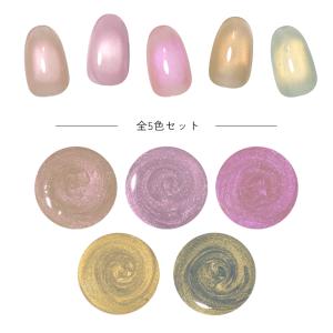 微粒子マグネット ジェルネイル ポリッシュ マ...の詳細画像1