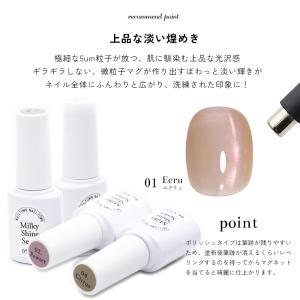 微粒子マグネット ジェルネイル ポリッシュ マ...の詳細画像3
