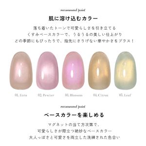 微粒子マグネット ジェルネイル ポリッシュ マ...の詳細画像4