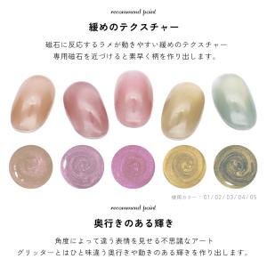 微粒子マグネット ジェルネイル ポリッシュ マ...の詳細画像5