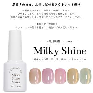 微粒子マグネット ジェルネイル ポリッシュ マ...の詳細画像1