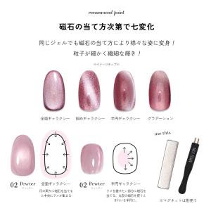微粒子マグネット ジェルネイル ポリッシュ マ...の詳細画像5