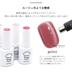 微粒子マグネット ジェルネイル ポリッシュ マ...の詳細画像2