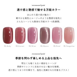 微粒子マグネット ジェルネイル ポリッシュ マ...の詳細画像3
