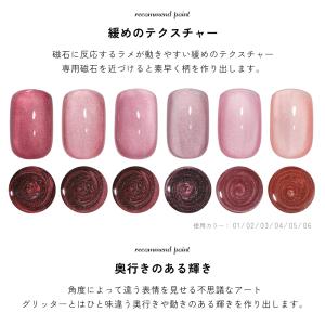 微粒子マグネット ジェルネイル ポリッシュ マ...の詳細画像4