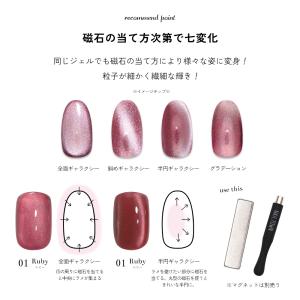 微粒子マグネット ジェルネイル ポリッシュ マ...の詳細画像5