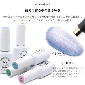 ジェルネイル ポリッシュ マグネットネイル ネ...の詳細画像2