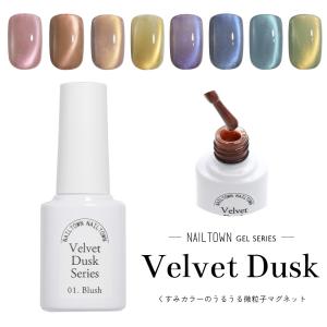 微粒子マグネット ジェルネイル ポリッシュ マ...の詳細画像1