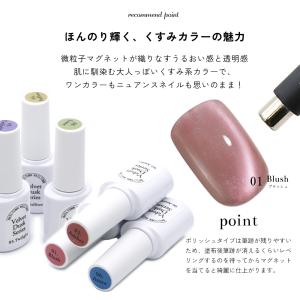 微粒子マグネット ジェルネイル ポリッシュ マ...の詳細画像2
