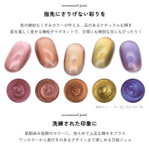 微粒子マグネット ジェルネイル ポリッシュ マ...の詳細画像3