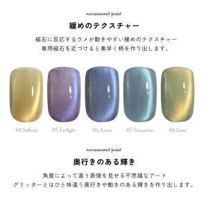 微粒子マグネット ジェルネイル ポリッシュ マ...の詳細画像4