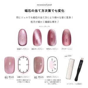 微粒子マグネット ジェルネイル ポリッシュ マ...の詳細画像5