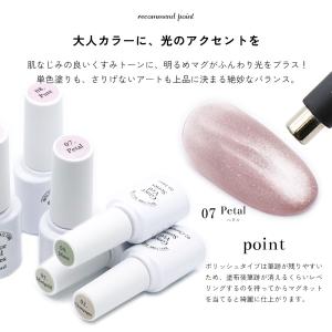 輝くマグネット粒子 ジェルネイル ポリッシュ ...の詳細画像2