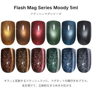 [アウトレット品]フラッシュマグ ポリッシュ ...の詳細画像1