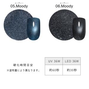 [アウトレット品]フラッシュマグ ポリッシュ ...の詳細画像4